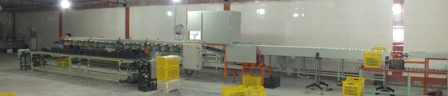 سورتر میوه‌های کشیده- یوتا